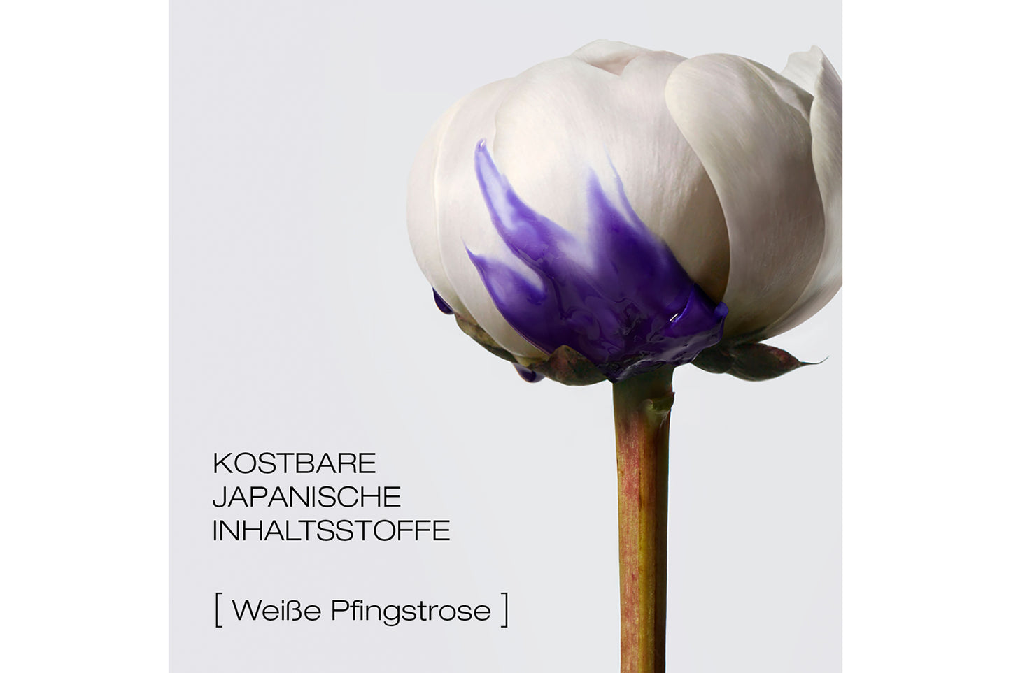 Yūbi Blonde DAILY SET