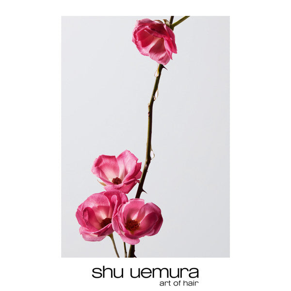 Shu Uemura Color Lustre Ultimate Set